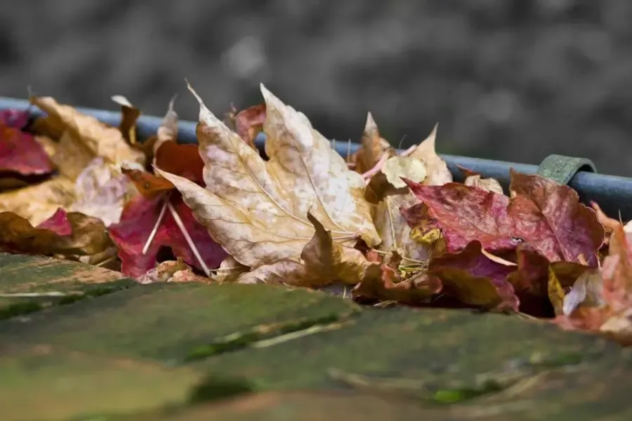 DIY Gutter Cleaning in Cincinnati, OH — residential gutter service