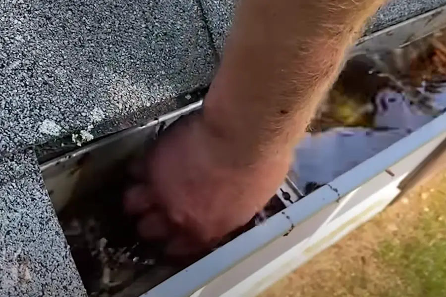 Clearing wet leaves from a residential gutter